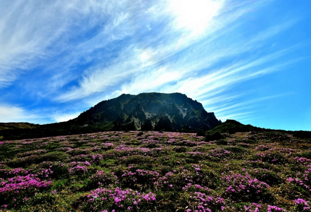 漢拿山登山攻略 漢拿山登山攻略