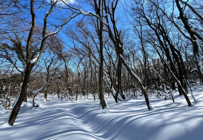 濟州島漢拿山路線 濟州島漢拿山路線