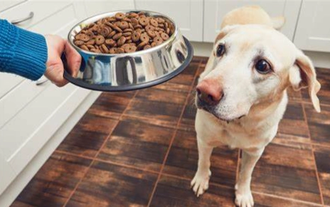 寵物食品保存