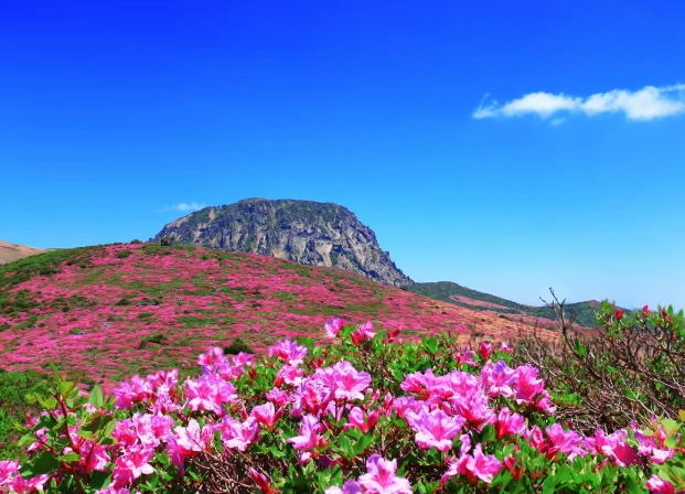 濟州島漢拿山