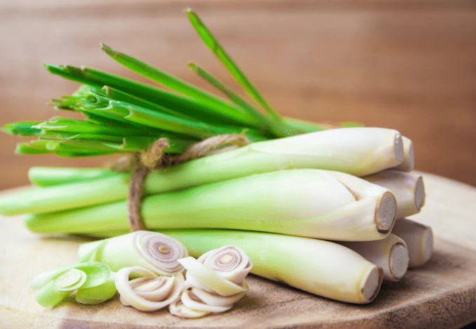 香茅油使用方法