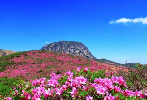 漢拿山路線時間