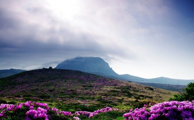 濟州島漢拿山 濟州島漢拿山