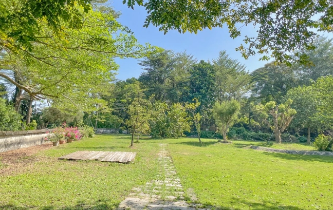 鱷魚生態農場周邊餐廳