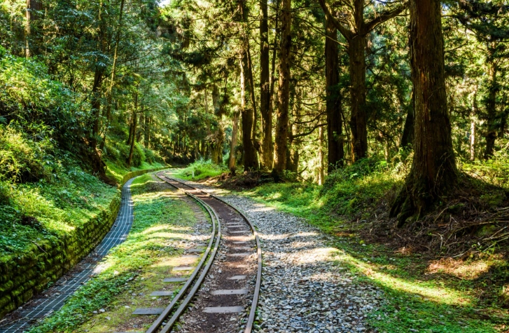 阿里山開車攻略