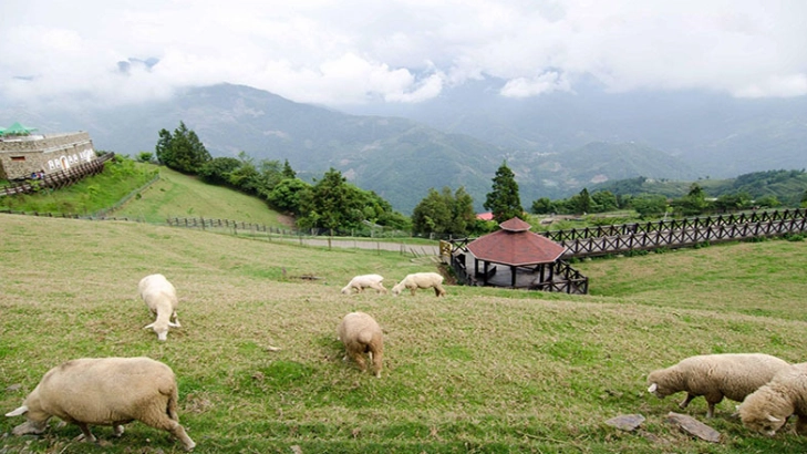 南投不開車旅遊