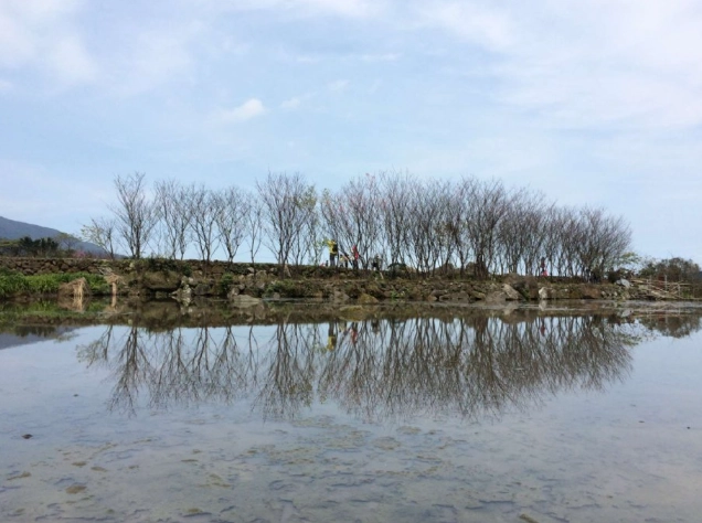 八煙聚落旅遊 八煙聚落旅遊