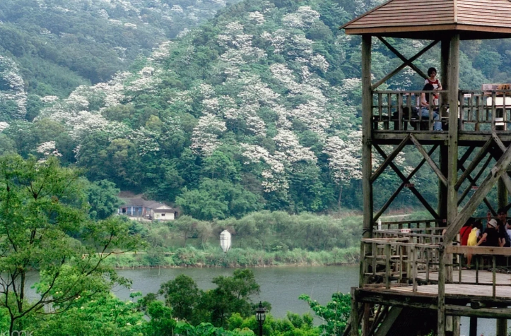 西湖渡假村門票價格