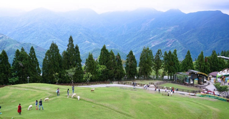 清境農場親子遊