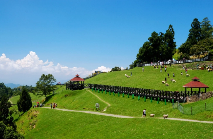 清境農場自駕遊