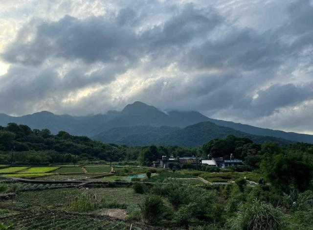 八煙聚落開放時間