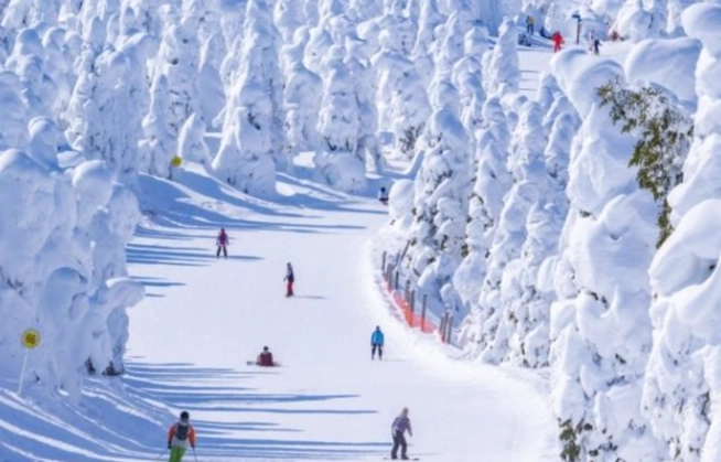 藏王滑雪酒店推薦
