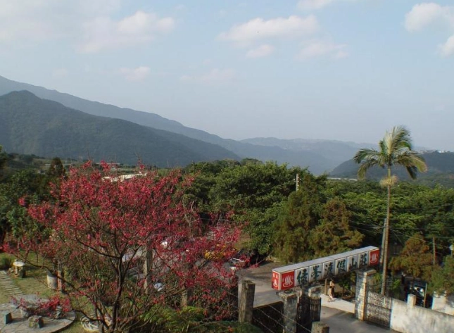 烏來露營地比較