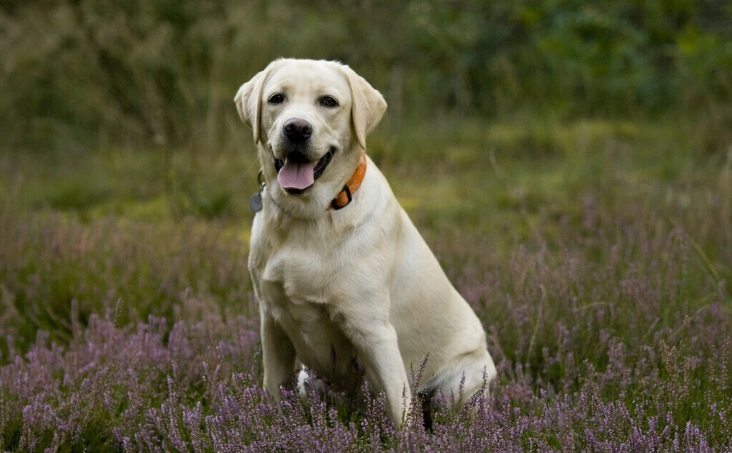 破傷風早期症狀