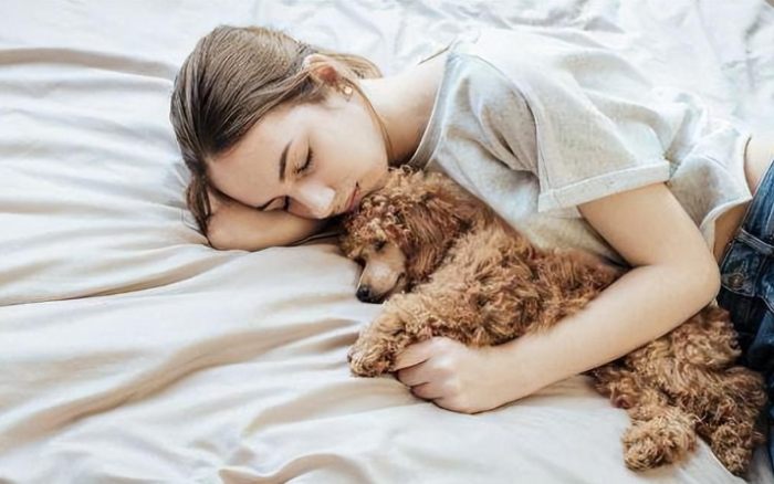 狗和人睡：好處與風險全解析，寵物主人必讀指南