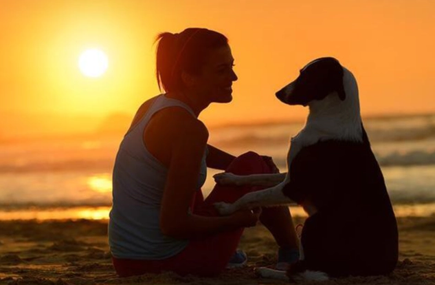 寵物狗照顧技巧