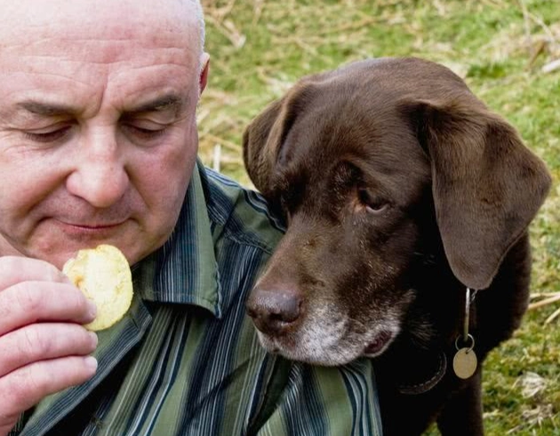 寵物營養不良徵兆