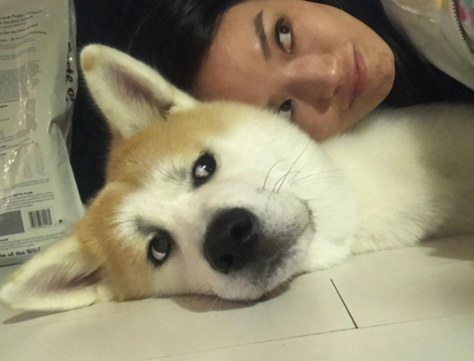 狗狗不親近主人