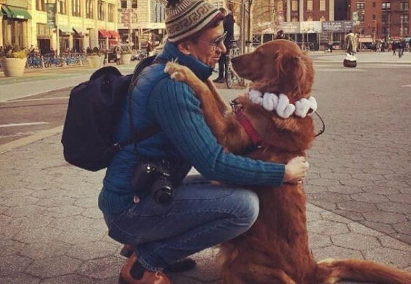 狗狗不黏主人原因