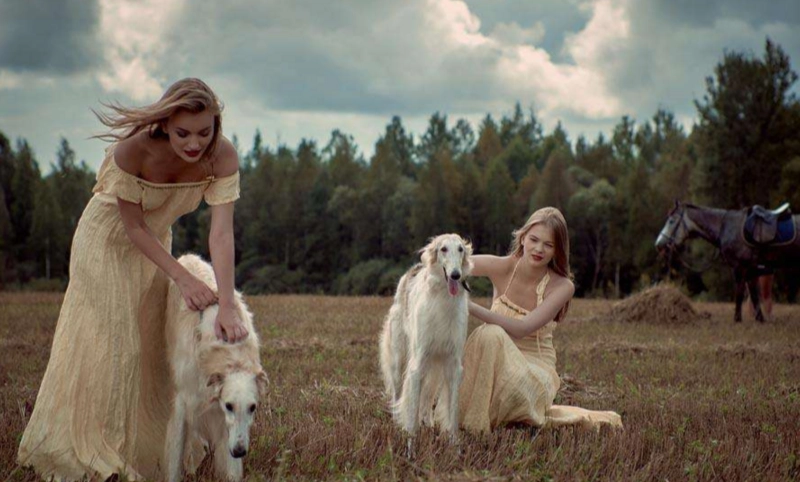 讓狗變親人方法