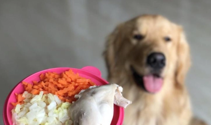 寵物營養不良徵兆