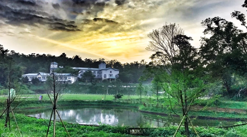 苗栗西湖渡假村旅遊