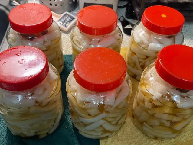 醃蘿蔔黃金比例