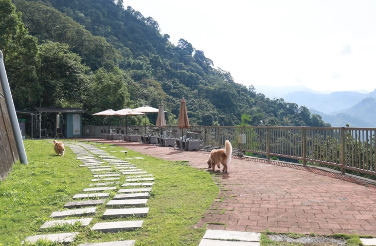 阿里山帶寵物旅遊