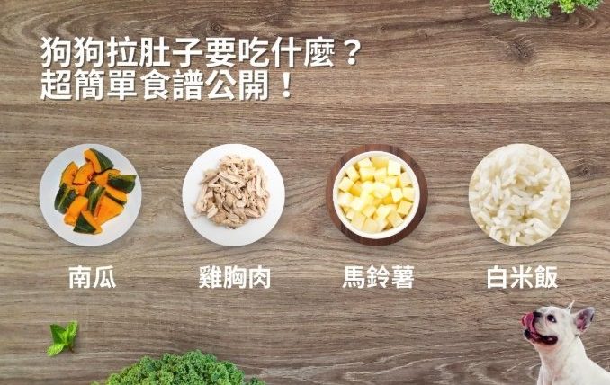 狗狗拉肚子可以吃什麼食物
