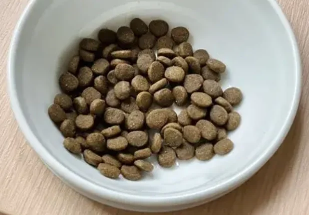 原點貓飼料碳水