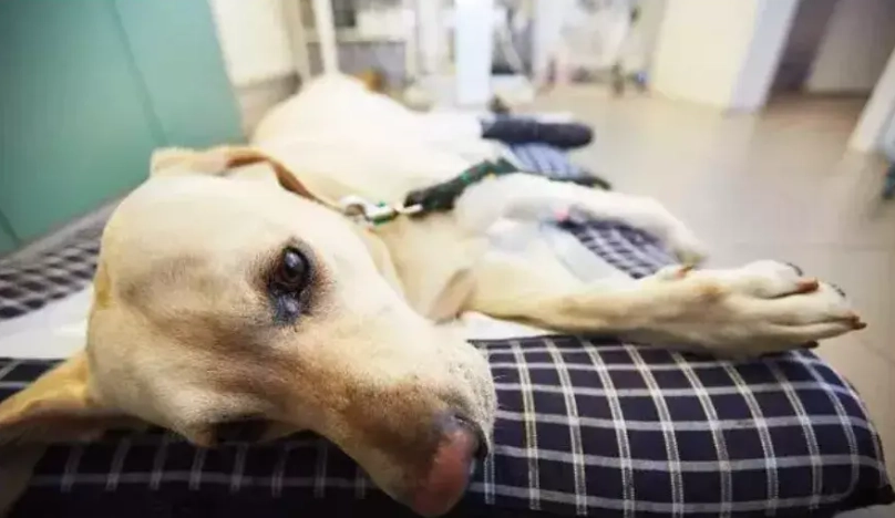 農藥中毒急救 農藥中毒急救