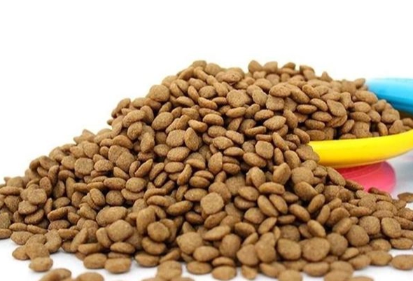 皇家狗飼料推荐 皇家狗飼料推荐