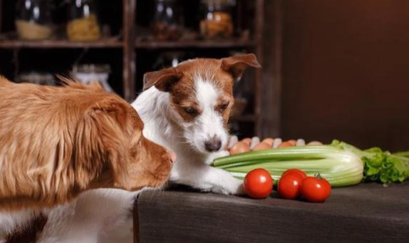 熟蛋白好處壞處