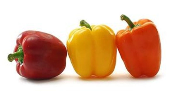 狗狗吃甜椒安全嗎