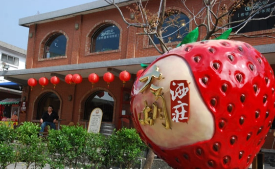 草莓酒推薦 草莓酒推薦