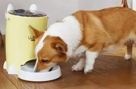 農藥中毒急救 農藥中毒急救