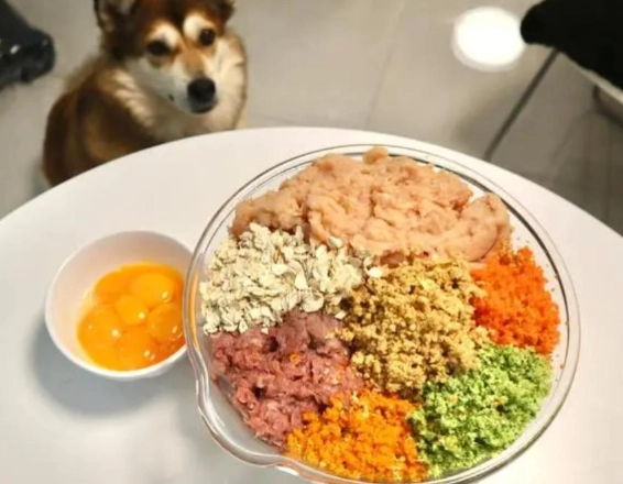 自製狗食