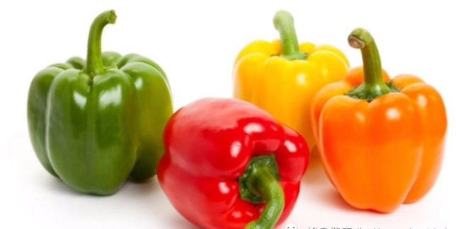 狗可以吃的蔬菜