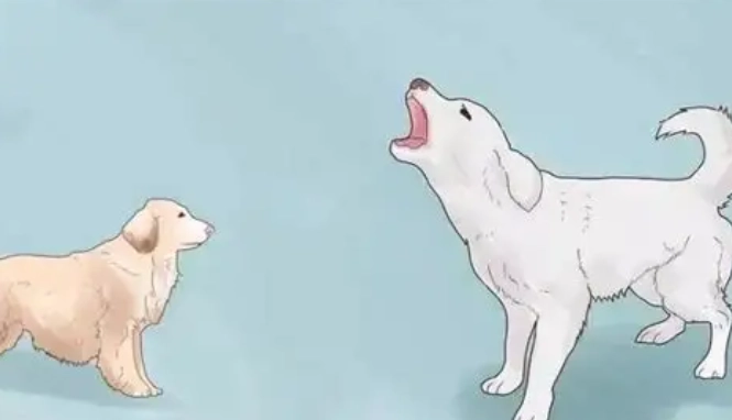 比狗咬報警流程 比狗咬報警流程