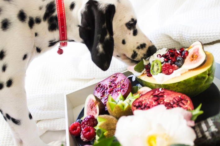 熟蛋白好處壞處