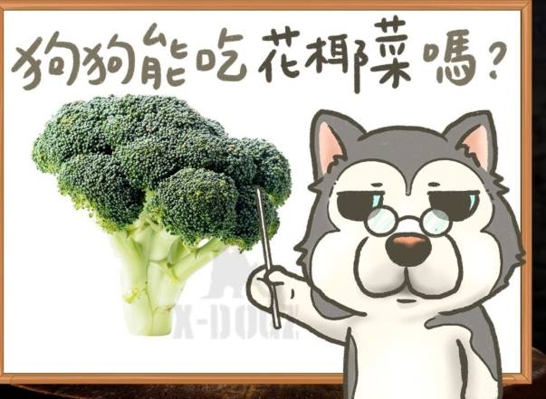狗吃花椰菜安全嗎？完整指南與營養益處解析