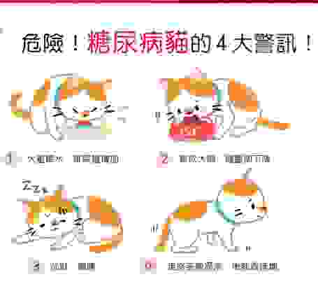 貓糖尿病死亡率