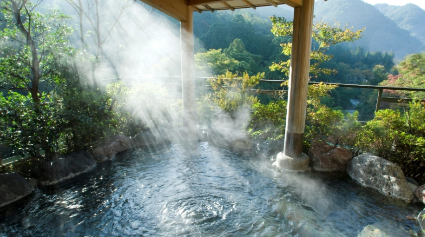 台灣溫泉旅館 台灣溫泉旅館