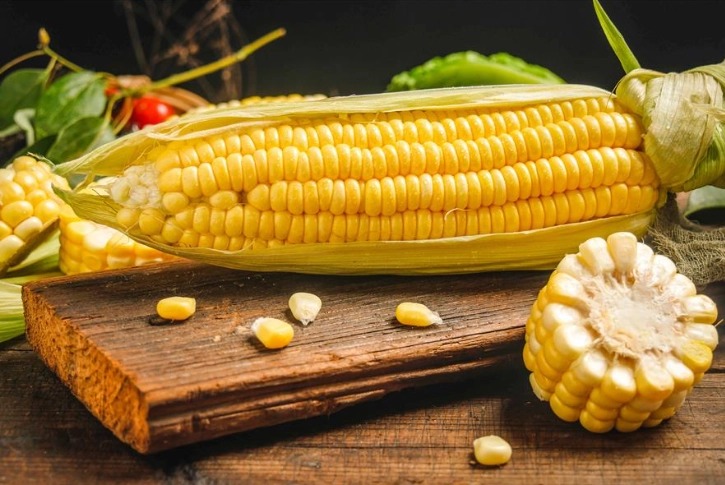 玉米梗營養 玉米梗營養