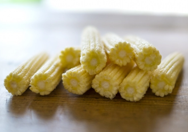 玉米梗營養 玉米梗營養