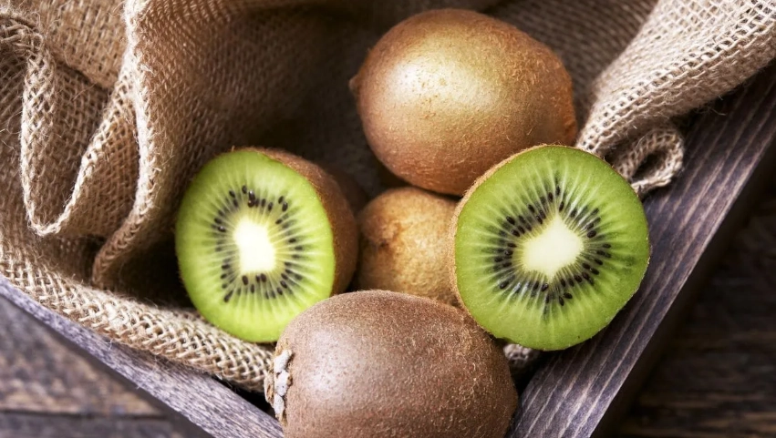 黃金奇異果對狗有害嗎