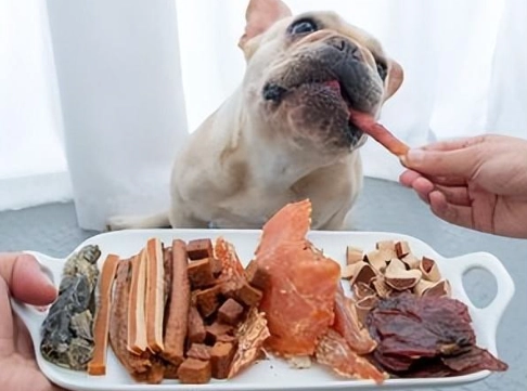 蝦殼對狗的影響