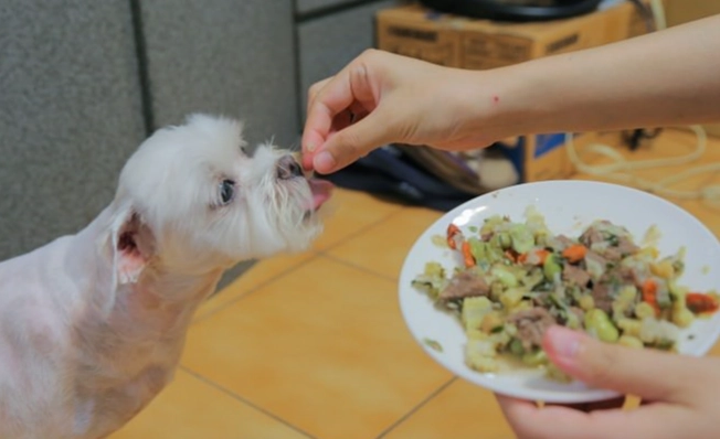 寵物鮮食營養 寵物鮮食營養