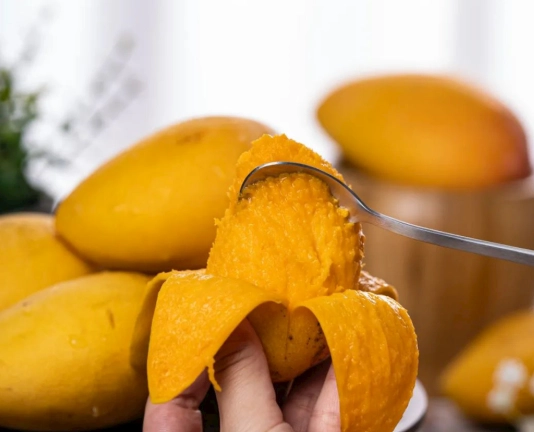 貴賓狗飲食禁忌