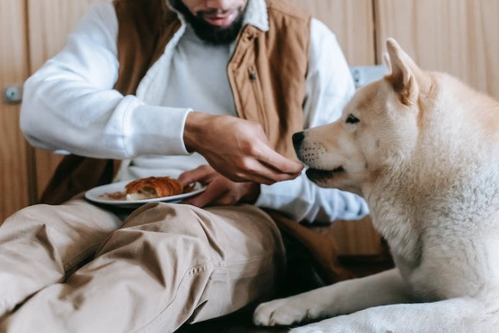 狗狗可以吃蝦殼嗎